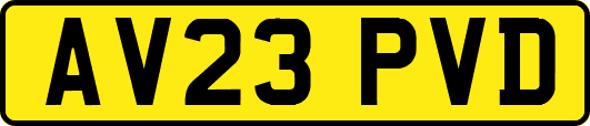 AV23PVD