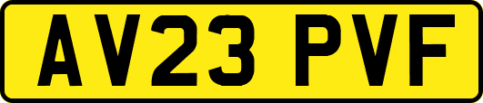 AV23PVF