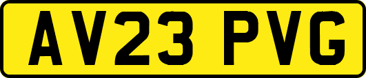AV23PVG