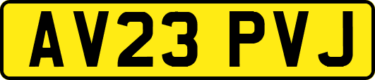 AV23PVJ