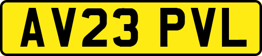 AV23PVL