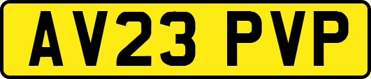 AV23PVP