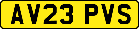 AV23PVS