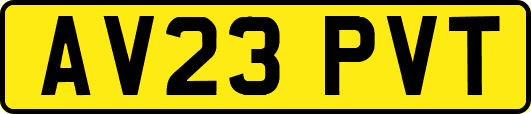AV23PVT