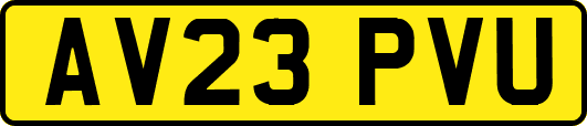 AV23PVU