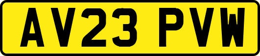 AV23PVW