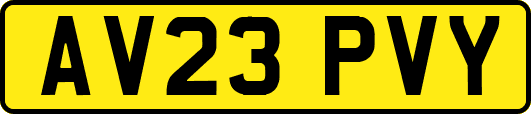 AV23PVY