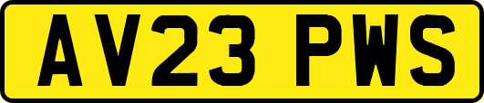 AV23PWS