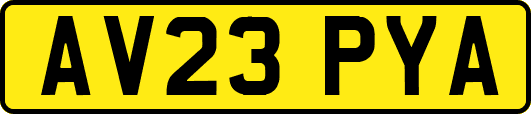 AV23PYA