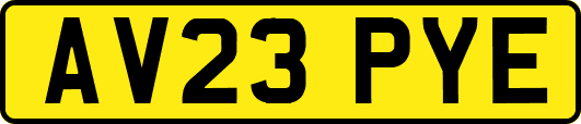 AV23PYE