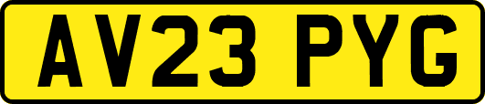 AV23PYG