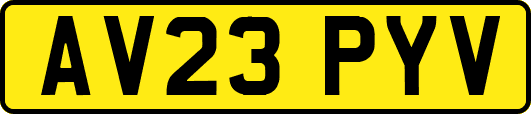 AV23PYV