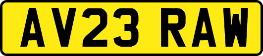 AV23RAW