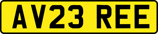 AV23REE