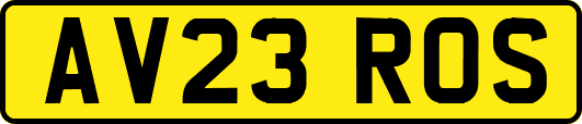 AV23ROS