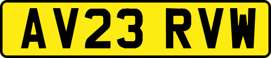 AV23RVW