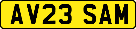 AV23SAM