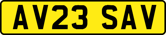 AV23SAV