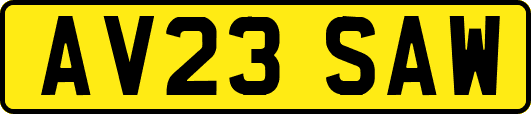 AV23SAW