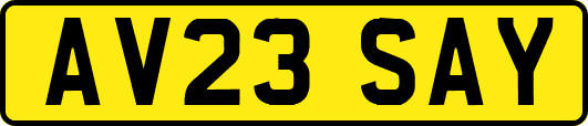 AV23SAY