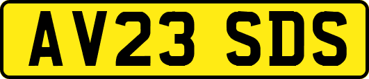 AV23SDS