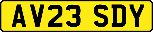 AV23SDY
