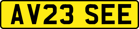 AV23SEE