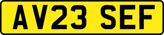 AV23SEF