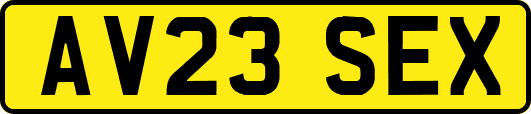 AV23SEX