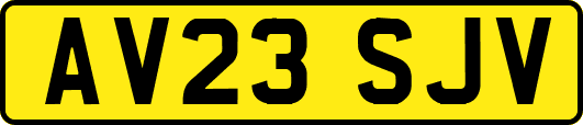 AV23SJV