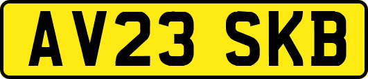 AV23SKB