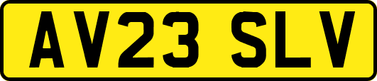 AV23SLV
