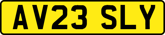 AV23SLY