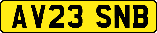 AV23SNB