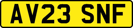 AV23SNF