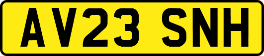 AV23SNH