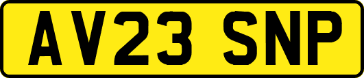 AV23SNP