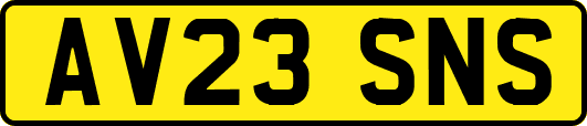 AV23SNS