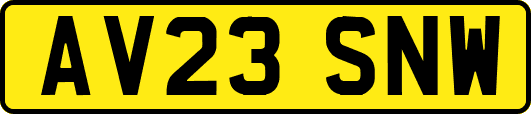 AV23SNW