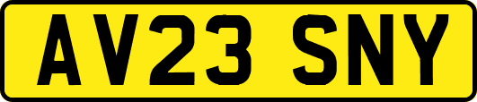 AV23SNY