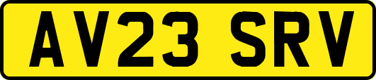AV23SRV