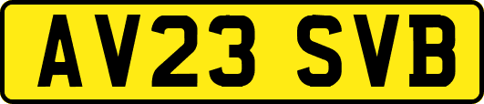 AV23SVB