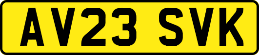 AV23SVK