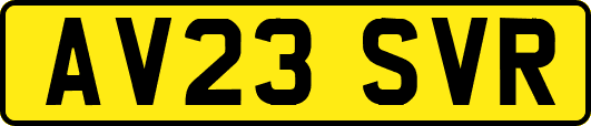 AV23SVR