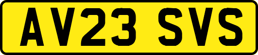 AV23SVS