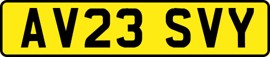 AV23SVY