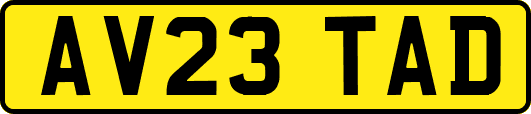 AV23TAD