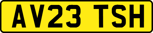 AV23TSH