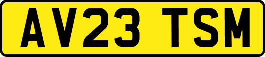 AV23TSM
