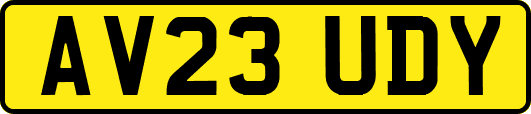 AV23UDY